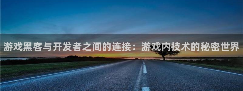 杜邦娱乐网页登录入口官网：游戏黑客与开发者之间的连接：游戏内