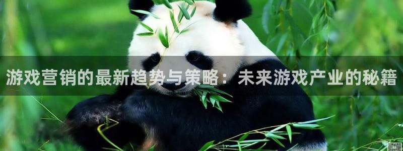 杜邦娱乐官网登录：游戏营销的最新趋势与策略：未来游戏产业的秘