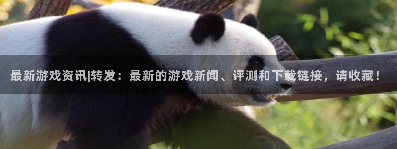 杜邦娱乐娱乐是真的吗：最新游戏资讯|转发：最新的游戏新闻、评