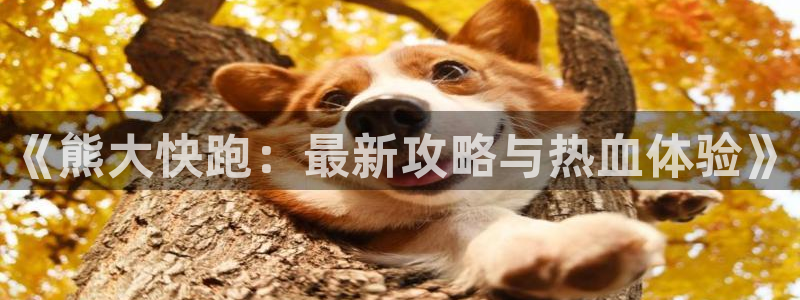杜邦娱乐代理登陆：《熊大快跑：最新攻略与热血体验》