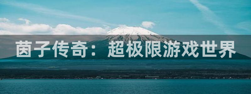 杜邦娱乐平台官网客服电话：茵子传奇：超极限游戏世界