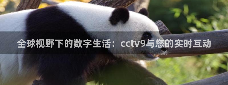 360体育直播无插件高清app：全球视野下的数字生活：cctv9与您的实时互动