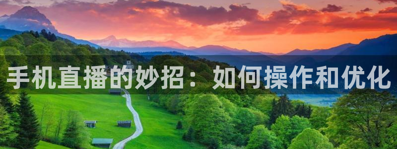 360体育视频直播：手机直播的妙招：如何操作和优化