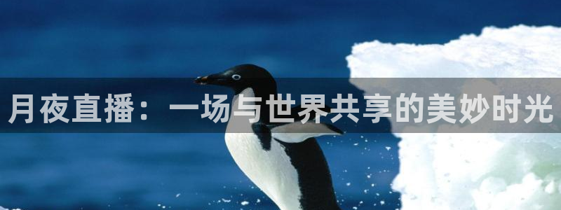 360足球直播视频直播：月夜直播：一场与世界共享的美妙时光