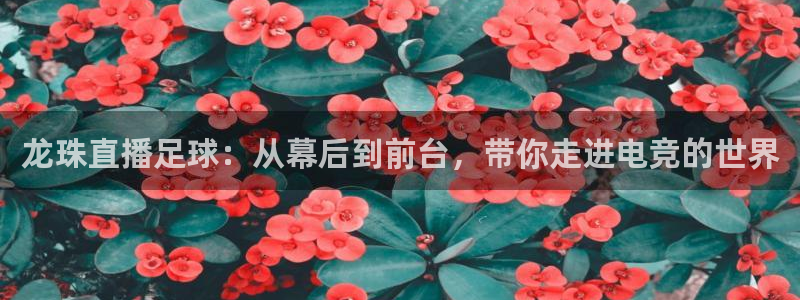 360直播足球直播：龙珠直播足球：从幕后到前台，带你走进电竞的世界