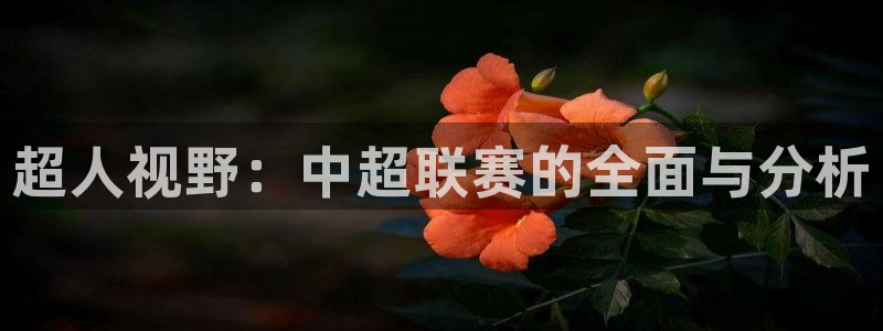 360五星体育在线直播：超人视野：中超联赛的全面与分析