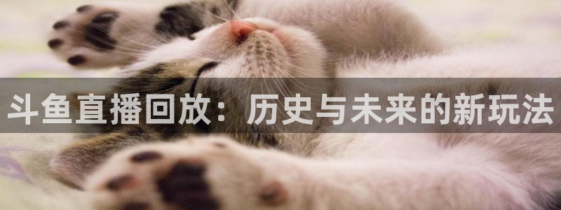 360广东体育在线直播观看：斗鱼直播回放：历史与未来的新玩法