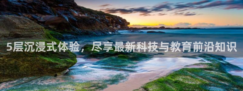 雨燕360体育直播足球：5层沉浸式体验，尽享最新科技与教育前沿知识