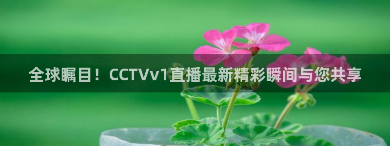雨燕360体育免费直播cba：全球瞩目！CCTVv1直播最新精彩瞬间与您共享