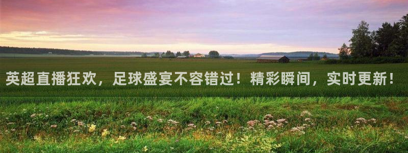 360雨燕足球高清免费直播：英超直播狂欢，足球盛宴不容错过！精彩瞬间，实时更新！
